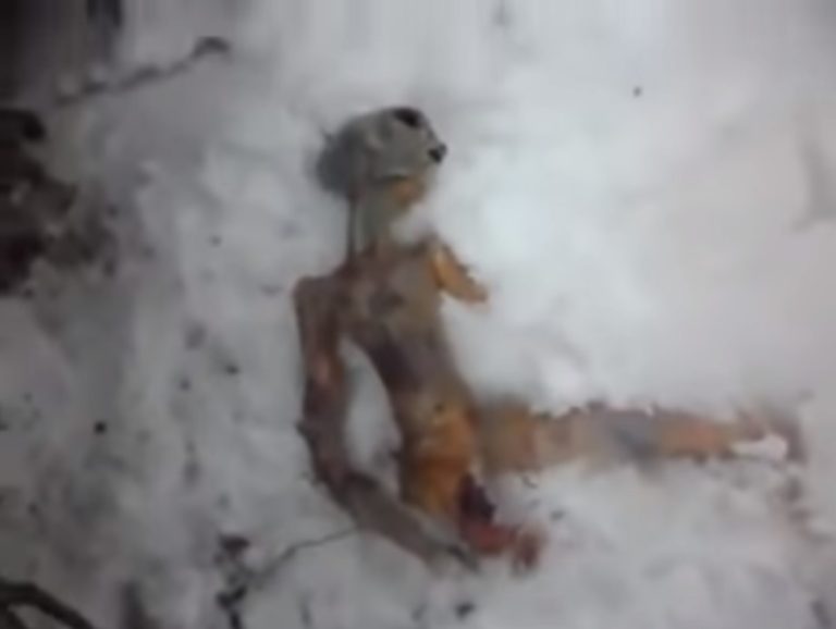 Um vídeo de um suposto extraterrestre na SIbéria chocou a Internet há algum tempo e até hoje, vez ou outra, volta a circular (Foto- Reprodução)