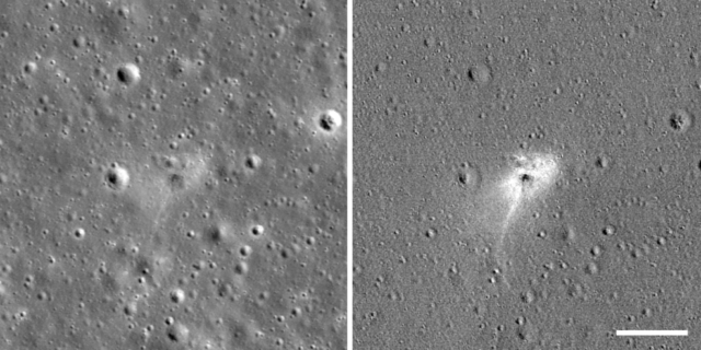 Espaçonave israelense cai na Lua e espalha carga de tardígrados 1 Tardígrados na Lua