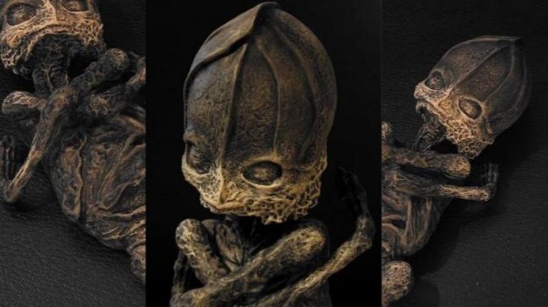 Cientistas descobrem o mistério da bizarra criatura Kyshtym Dwarf