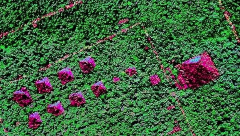 O enigma das pirâmides descobertas no meio da floresta amazônica 