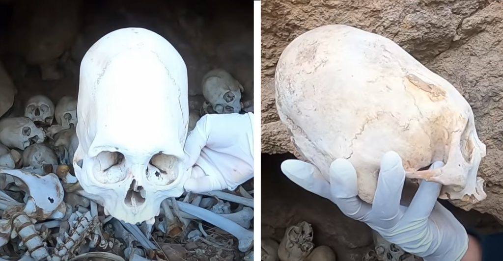 Vídeo com crânios peruanos antigos viraliza na internet. Seriam evidências de alienígenas na Terra? 1 Vídeo com crânios peruanos antigos viraliza na internet. Seriam evidências de alienígenas na Terra?