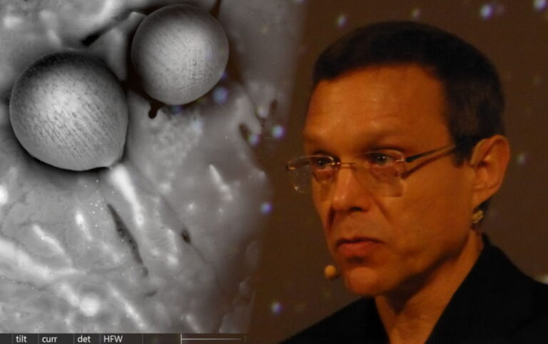 À esquerda, uma das imagens da análise das esferas por microscopia (Crédito Avi Loeb - Medium)