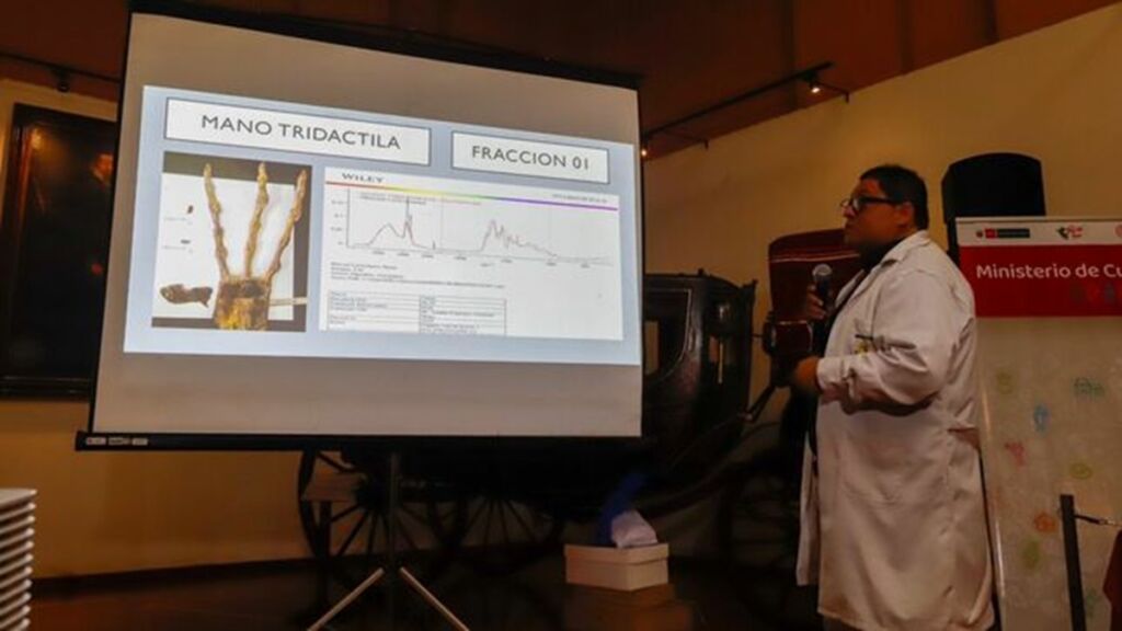 Múmias de Nazca são classificadas como falsas por especialistas forenses do Peru 2 Análises de especialistas forenses do Peru diz que múmias de Nazca são fraudes, incluindo mão de três dedos (Foto: Ministério da Cultura do Peru)