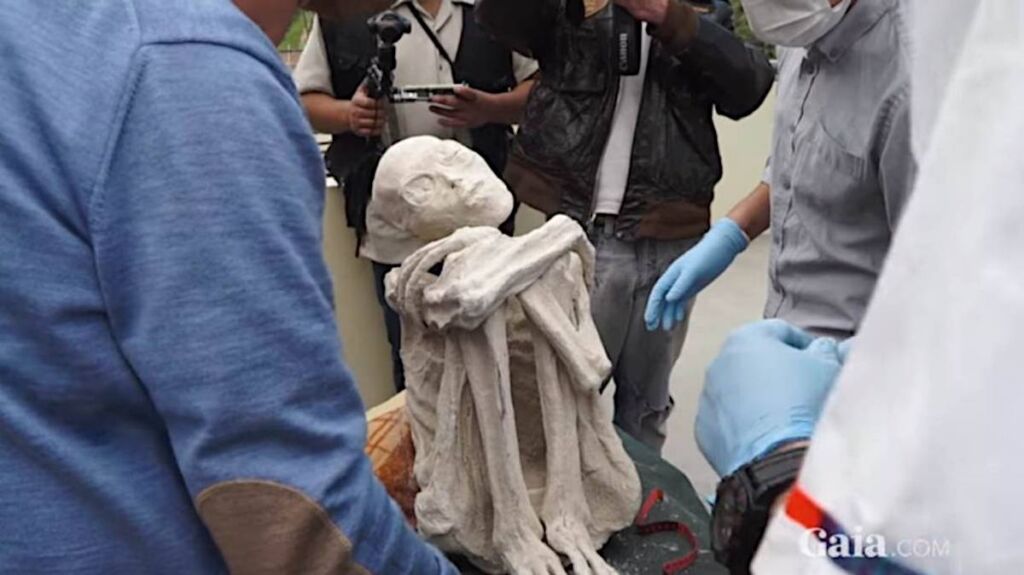 Maria, uma das múmias de Nazca (Crédito - Reprodução GaiaTV - Gaia.com)