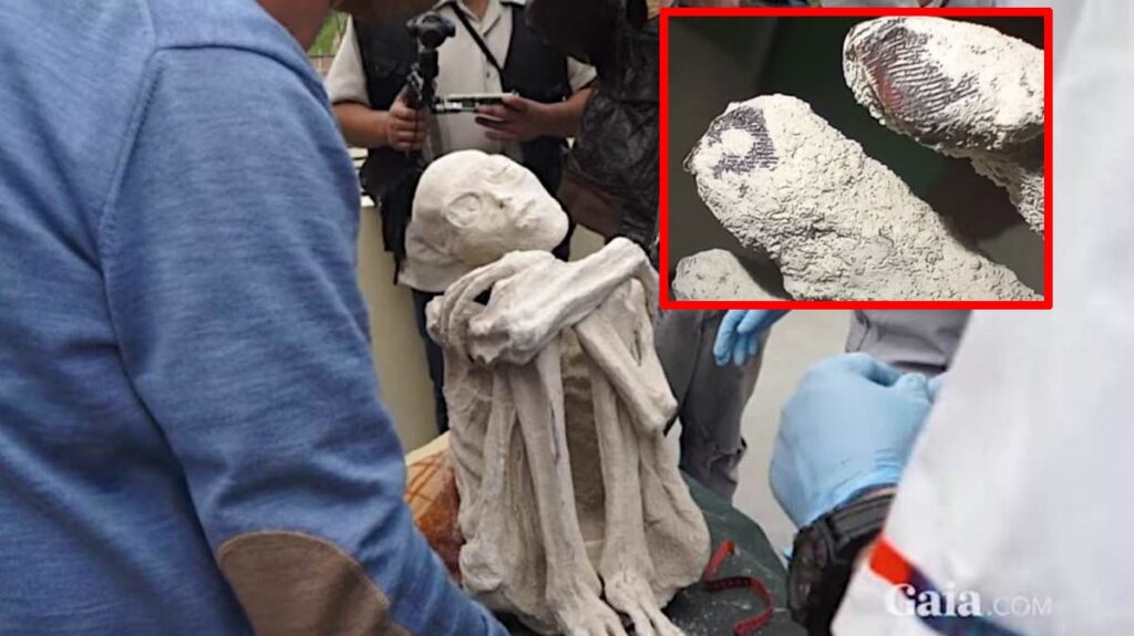Maria, uma das múmias de Nazca, No destaque, ampliação das impressões digitais (Crédito - Reprodução GaiaTV - Gaia.com / Destaque: reprodução X.com)