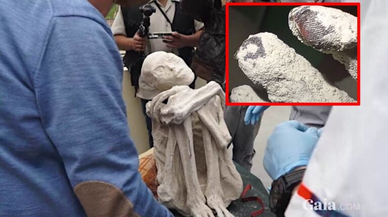 Maria, uma das múmias de Nazca, No destaque, ampliação das impressões digitais (Crédito - Reprodução GaiaTV - Gaia.com / Destaque: reprodução X.com)
