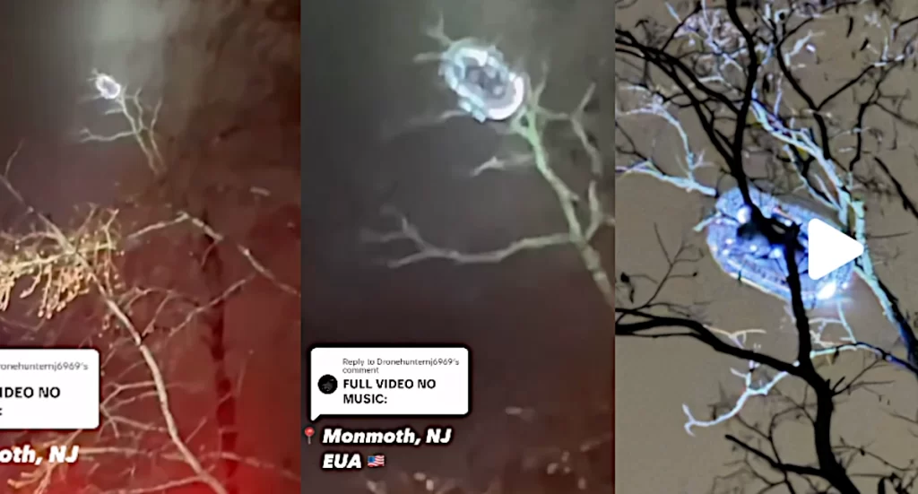 Objeto "diferentão" na árvore: não era um drone! 1 Objeto diferentão confundido com drone misterioso em Nova Jersey (Redes Sociais)