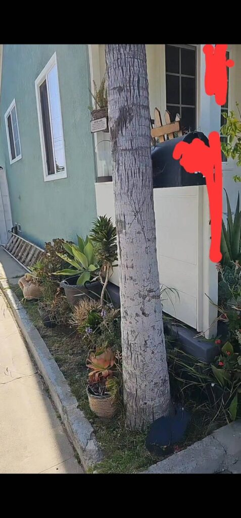 O enigma da 'criatura' de Compton: um registro inexplicável na madrugada californiana 3 A lateral da casa com um espaço de plantes e a calçada por onde teria passado a estranha forma. (Arquivo Pessoal/Jessica Ortiz)