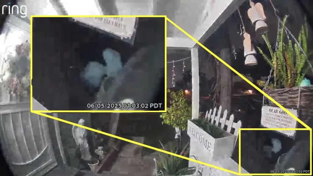 Criatura de Compton tem curiosa ligação com o ufólogo mexicano Jaime Maussan 2 O que era a estranha forma que apareceu em Compton, na Califórnia (Reprodução/Instagram)