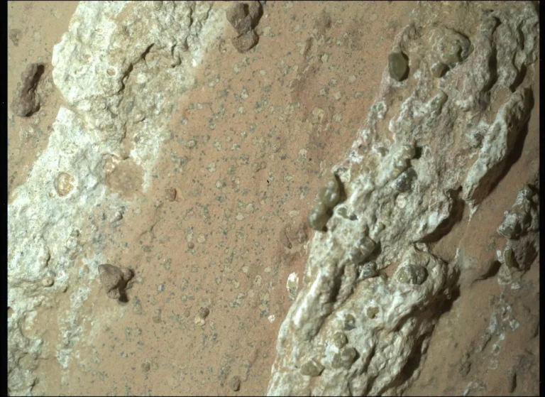 Foto PIA26368, feita pelo rover Perseverance, usando o instrumento LEO - sinais de vida antiga em Marte (NASA)
