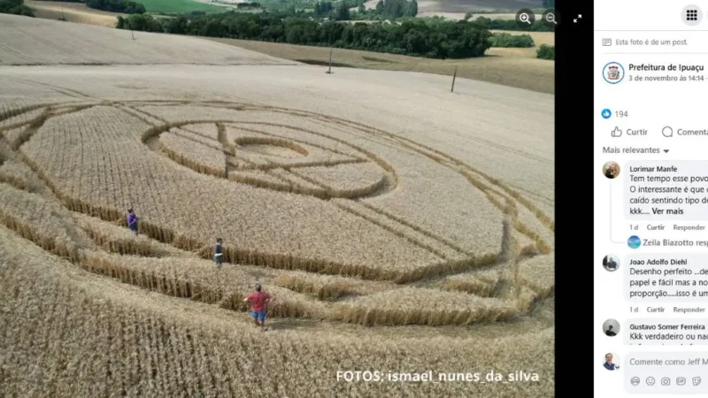 Fenômeno recorrente: em 2025, agroglifo volta a aparecer em Ipuaçu, SC 2 Fenômeno recorrente: em 2025, agroglifo volta a aparecer em Ipuaçu, SC