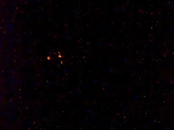 Luzes suspeitas motivaram NASA a cortar transmissão da ISS?