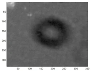 Suposto UAP gigante em forma de rosquinha (donut) identificado pelos autores do estudo na Lua (Imagem - 'UFO Dynamics on the Moon')